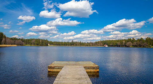 [RODINNÉ] Kolem rybníků Sykovec a Medlov: Voda, lesy a pohoda rovnou za chatou