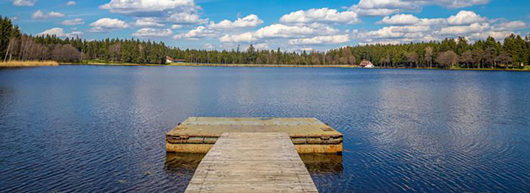 [RODINNÉ] Kolem rybníků Sykovec a Medlov: Voda, lesy a pohoda rovnou za chatou